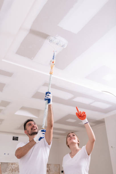 Trusted Highland, UT Mold Removal Experts